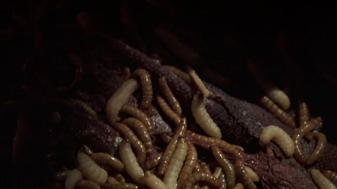 The 4th Floor (1999) BluRay 480p h264 [Hindi-English]