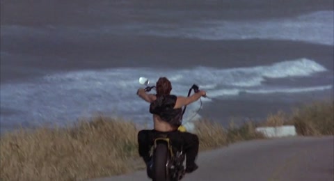 Download Wild Orchid (1989) BluRay 720p h264 [Hindi-English] | Filmy21