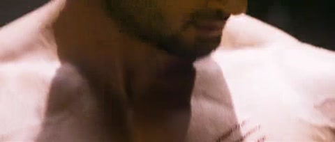 Baaghi (2016) BluRay 480p h264 [Hindi]