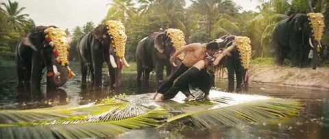 Baaghi (2016) BluRay 480p h264 [Hindi]