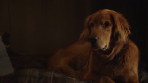 Jesse Stone: Benefit of the Doubt (2012) BluRay 720p h264 [Hindi-English]