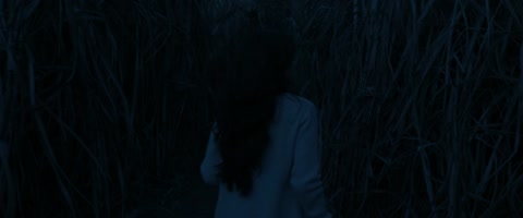 Chhorii (2021) Web-DL 1080p h264 [Hindi]