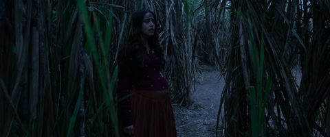 Chhorii (2021) Web-DL 1080p h264 [Hindi]