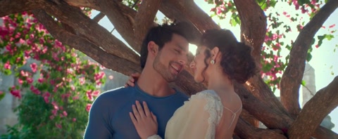 Sweetiee Weds NRI (2017) Web-DL 720p h264 [Hindi]