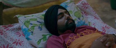 Nikka Zaildar (2016) Web-DL 1080p h264 [Punjabi]