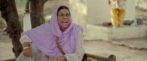 Nikka Zaildar (2016) Web-DL 1080p h264 [Punjabi]