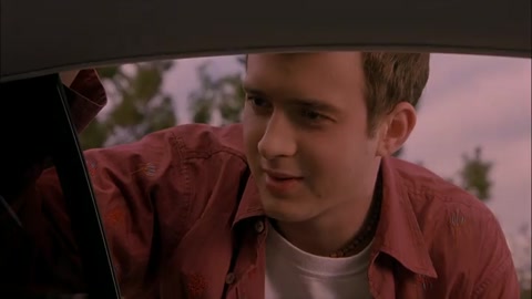American Pie 2 (2001) Web-DL 480p h264 [Hindi]