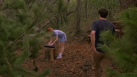 American Pie 2 (2001) Web-DL 480p h264 [Hindi]
