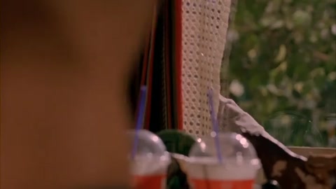 American Pie 2 (2001) Web-DL 480p h264 [Hindi]