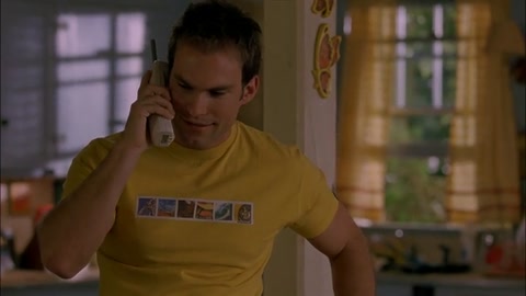 American Pie 2 (2001) Web-DL 480p h264 [Hindi]