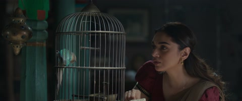 Sufiyum Sujatayum (2020) Web-DL 2160p hevc [Hindi-Malayalam]