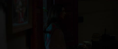 Sufiyum Sujatayum (2020) Web-DL 2160p hevc [Hindi-Malayalam]