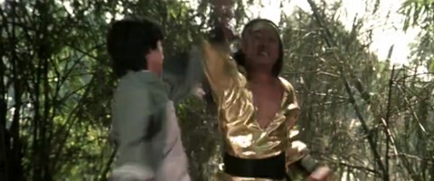 Fearless Hyena 2 (1983) BluRay 480p h264 [Hindi-Chinese]