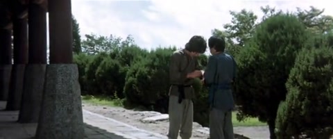 Fearless Hyena 2 (1983) BluRay 480p h264 [Hindi-Chinese]