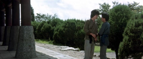 Fearless Hyena 2 (1983) BluRay 1080p h264 [Hindi-Chinese]