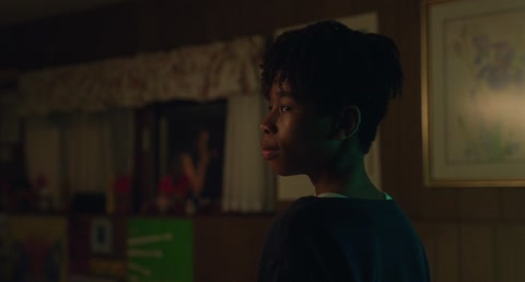 I Saw the TV Glow (2024) BluRay 1080p h264 [Hindi-English]