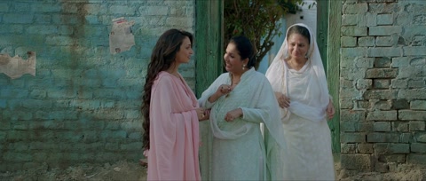 Shorgul (2016) Web-DL 1080p h264 [Hindi]