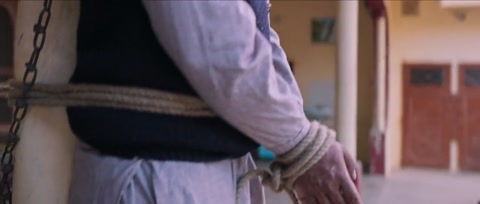 Nikka Zaildar 3 (2019) Web-DL 720p h264 [Punjabi]