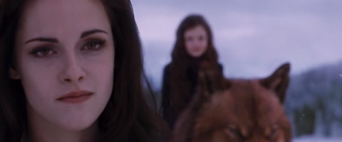 The Twilight Saga: Breaking Dawn - Part 2 (2012) BluRay 1080p h264 [Hindi-English]