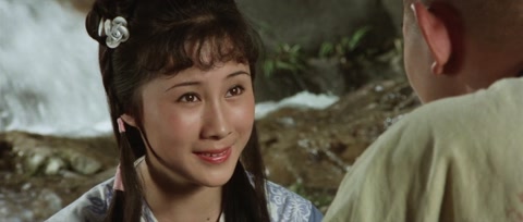 The Shaolin Temple (1982) BluRay 1080p h264 [Hindi-Chinese]