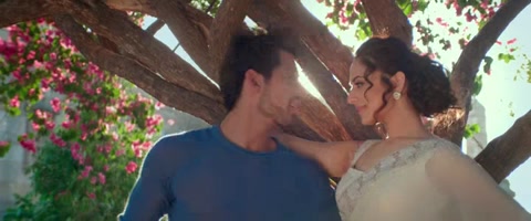 Sweetiee Weds NRI (2017) Web-DL 480p h264 [Hindi]