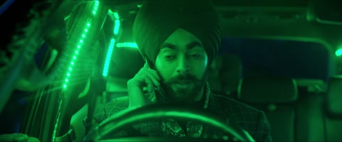 Wild Wild Punjab (2024) Web-DL 1080p h264 [Hindi-Tamil-Telugu-English]