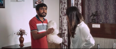 Oye Bhole Oye (2024) Web-DL 720p h264 [Punjabi]