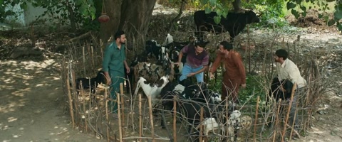 Jatt Nuu Chudail Takri (2024) Web-DL 480p h264 [Punjabi]