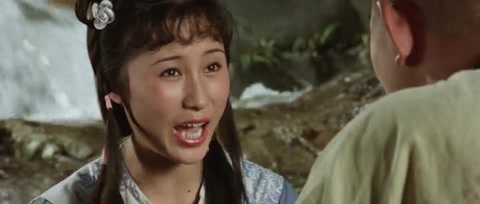The Shaolin Temple (1982) BluRay 480p h264 [Hindi-Chinese]