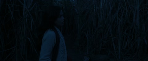 Chhorii (2021) Web-DL 1080p h264 [Hindi]