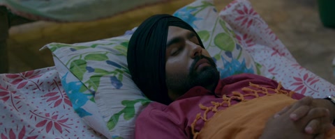 Nikka Zaildar (2016) Web-DL 720p hevc [Punjabi]