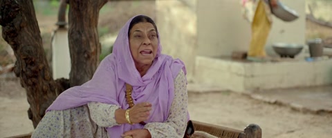 Nikka Zaildar (2016) Web-DL 720p hevc [Punjabi]