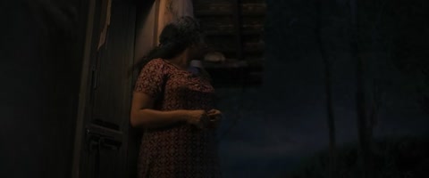 Pravinkoodu Shappu (2025) Web-DL 480p hevc [Hindi-Malayalam]
