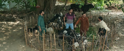 Jatt Nuu Chudail Takri (2024) Web-DL 1080p h264 [Punjabi]