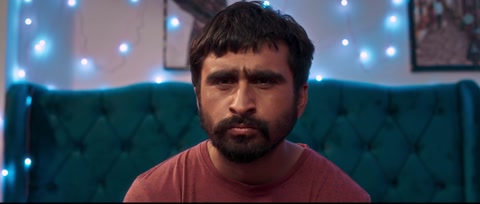 Oye Bhole Oye (2024) Web-DL 1080p h264 [Punjabi]