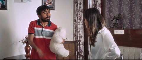 Oye Bhole Oye (2024) Web-DL 1080p h264 [Punjabi]