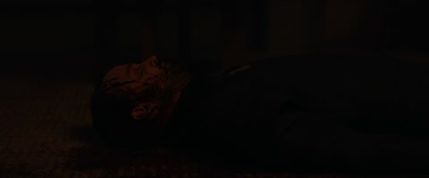 Ash (2025) Web-DL 1080p h264 [English-Hindi]
