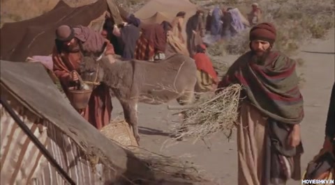 The Gospel of John (2003) BluRay 480p h264 [Hindi]