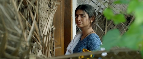 Live (2023) Web-DL 720p hevc [Hindi-Malayalam]