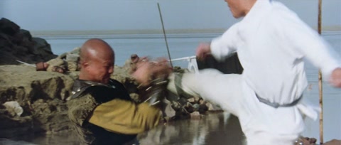 The Shaolin Temple (1982) BluRay 1080p hevc [Hindi-Chinese]