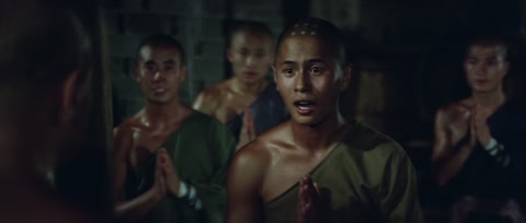 The Shaolin Temple (1982) BluRay 1080p hevc [Hindi-Chinese]