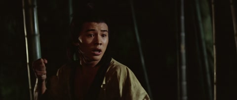 The Shaolin Temple (1982) BluRay 1080p hevc [Hindi-Chinese]