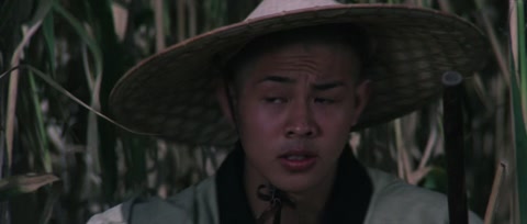 The Shaolin Temple (1982) BluRay 1080p hevc [Hindi-Chinese]