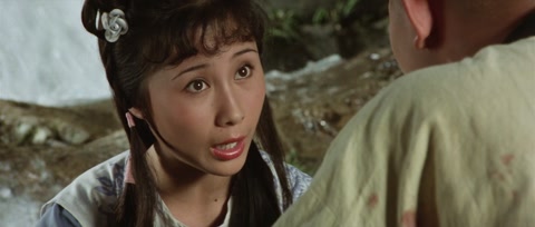 The Shaolin Temple (1982) BluRay 1080p hevc [Hindi-Chinese]