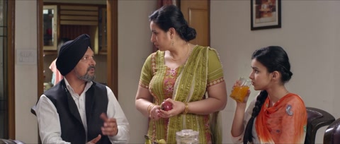 Baaz (2014) Web-DL 1080p h264 [Punjabi]