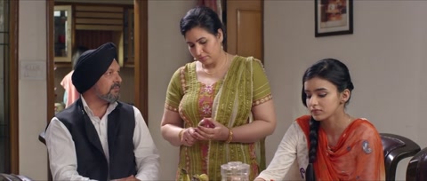 Baaz (2014) Web-DL 720p h264 [Punjabi]