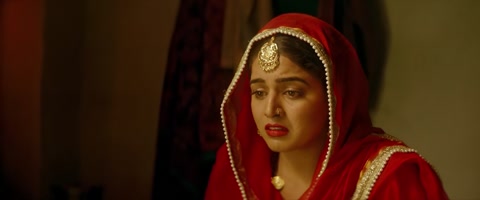 Nikka Zaildar 2 (2017) Web-DL 720p hevc [Punjabi]