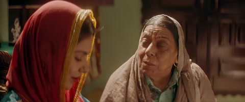 Nikka Zaildar 2 (2017) Web-DL 720p hevc [Punjabi]