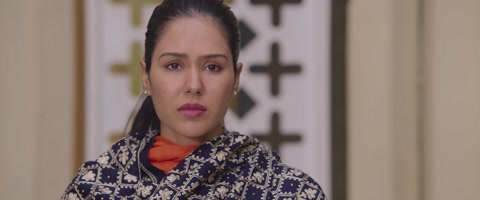 Kudi Haryane Val Di (2024) Web-DL 1080p h264 [Punjabi]