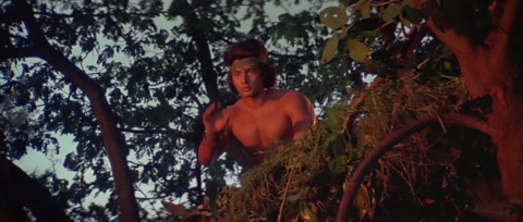 Adventures of Tarzan (1985) Web-DL 1080p h264 [Hindi]